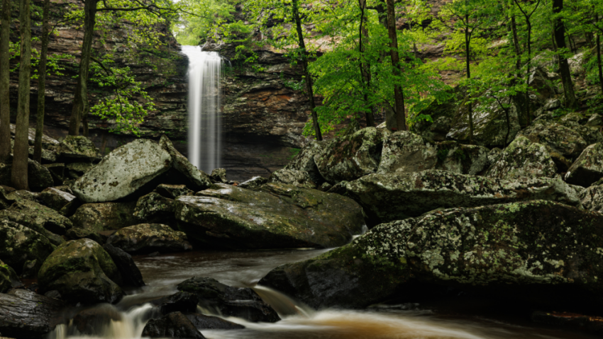 Spring and Summer Adventures in Morrilton